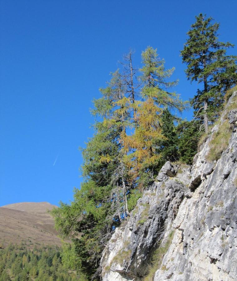 Ferienhaeuser Troester Бад Кляйнкирххайм Экстерьер фото
