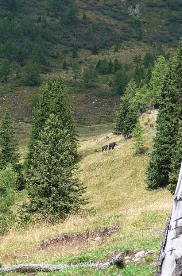 Ferienhaeuser Troester Бад Кляйнкирххайм Экстерьер фото